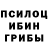 Псилоцибиновые грибы Cubensis yafi kun