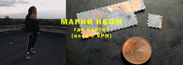 ПСИЛОЦИБИНОВЫЕ ГРИБЫ Новозыбков