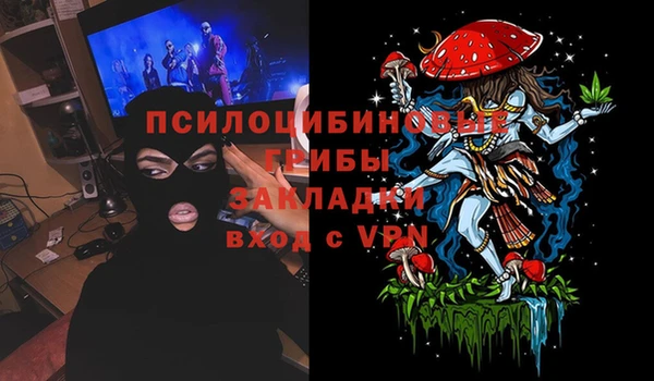дживик Алзамай
