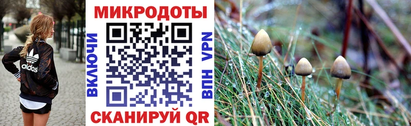 Псилоцибиновые грибы Psilocybine cubensis  Павловский Посад 